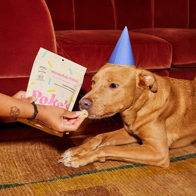 Birthday Cake Biscuit Crunchy Dog Treats, 8-oz bag
