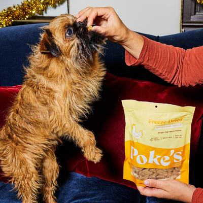 Chicken Liver Freeze-Dried Dog Treats, 3-oz bag