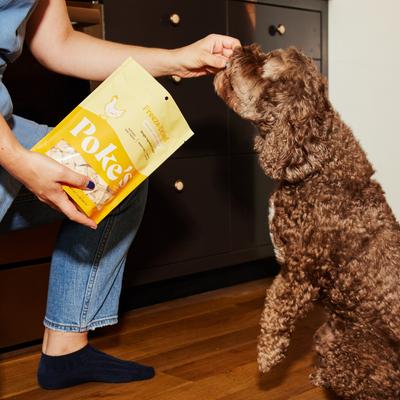 Chicken Liver Freeze-Dried Dog Treats, 3-oz bag