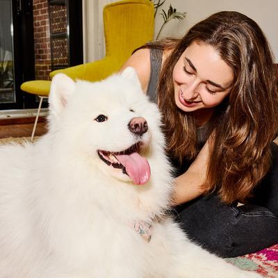 Bac'n Me Crazy Training Bites Dog Treats, 6-oz bag