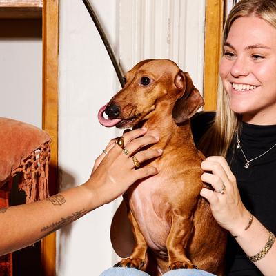 Beef Liver Freeze-Dried Dog Treats, 3-oz bag