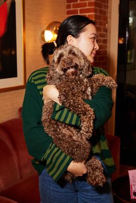 Beef Liver Freeze-Dried Dog Treats, 3-oz bag