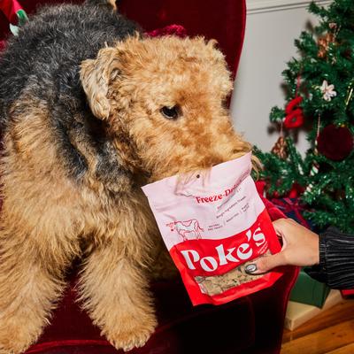 Beef Liver Freeze-Dried Dog Treats, 3-oz bag