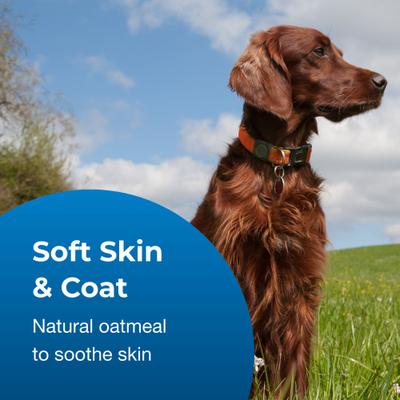 Fresh 'n Clean Oatmeal 'n Baking Soda Dog Shampoo, Tropical Fresh Scent, 15:1 Concentrate, 1-gal bottle