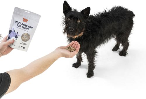 Single Ingredient Beef Liver Freeze-Dried Dog Treats, 2.5-oz bag