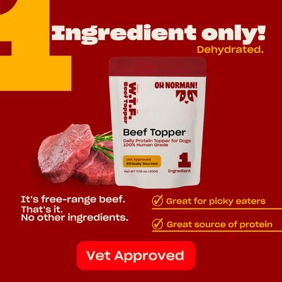 WTF Beef High Protein Dog Food Topper, 7.05-oz pouch