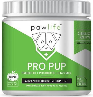 Pumpkin Flavor Pro Pup Probiotics, Prebiotics & Enzymes Soft Chews Dog Supplement, 240 count