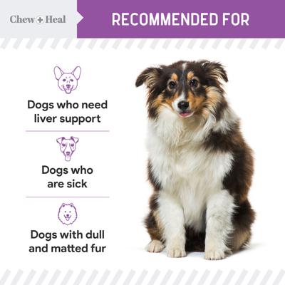 Milk Thistle Tincture with Moringa Oil & Salmon Oil Liquid Kidney & Liver Health Supplement for Dogs, 2-fl oz bottle