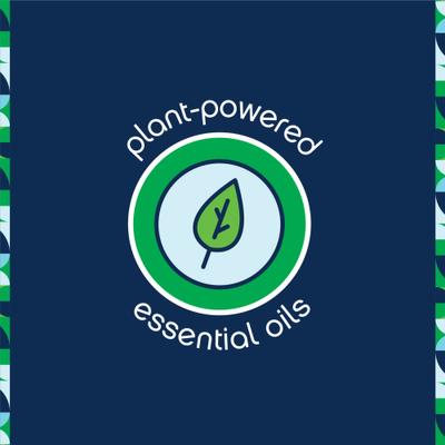 Flea & Tick Treatment Dog Shampoo, 16-fl oz bottle