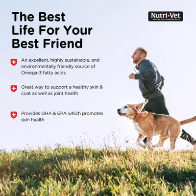 Fish Oil Omega-3 Liquid Skin & Coat Supplement for Dogs, 12-fl oz bottle