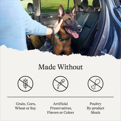 Grain-Free Senior Salmon & Sweet Potato Recipe Dry Dog Food, 24-lb bag