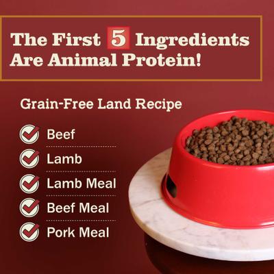Grain-Free Land Recipe Dry Dog Food, 22-lb bag