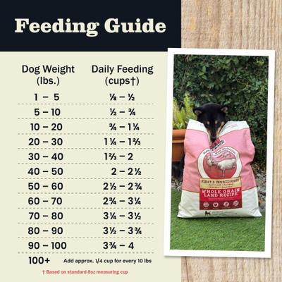 Whole Grain Large Breed Recipe Dry Dog Food, 15-lb bag