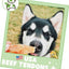 USA Beef Tendon Natural Dog Chew Treats, 8-oz bag
