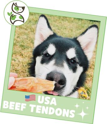 USA Beef Tendon Natural Dog Chew Treats, 8-oz bag