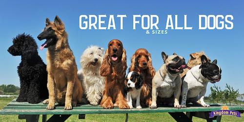 Chicken & Sweet Potato Jerky Twists Dog Treats, 48-oz bag