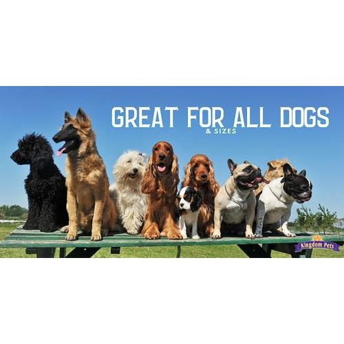 Galletas para perros con tiras de pollo y camote en forma de cecina, bolsa de 48 oz