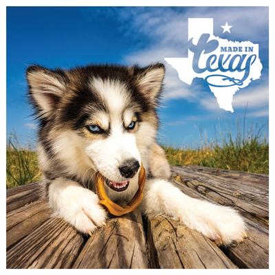 Puppy Teething Rings Taste of Texas Queso Con Carne Flavor Dog Dental Treats, 3 count