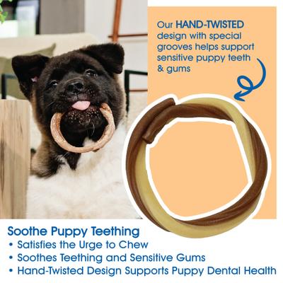 Puppy Teething Rings Taste of Texas Queso Con Carne Flavor Dog Dental Treats, 3 count