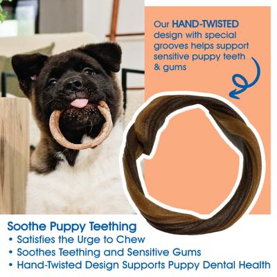 Puppy Teething Rings Taste of Texas Pulled Pork Flavor Dog Dental Treats, 3 count