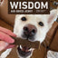 Wisdom Air-Dried From the Seed Recipe Premium Natural Plant-Based Jerky Strips Dog Treats, 4-oz bag