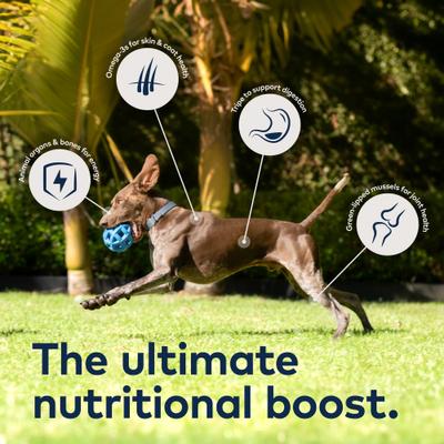 Peak Variety Pack Adult Grain-Free Beef, Chicken Pate Canned Dog Food, 6-oz can, case of 6