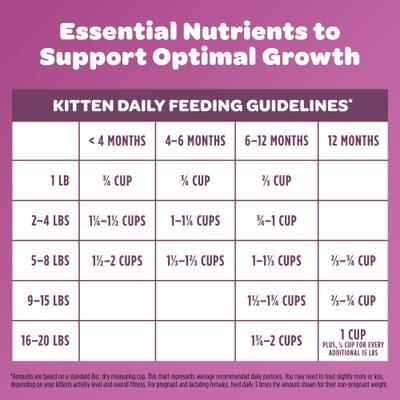 Chicken & Ocean Fish Kitten Dry Cat Food, 2.5-lb bag