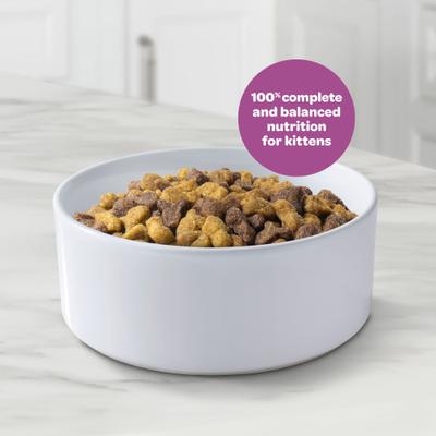 Chicken & Ocean Fish Kitten Dry Cat Food, 2.5-lb bag