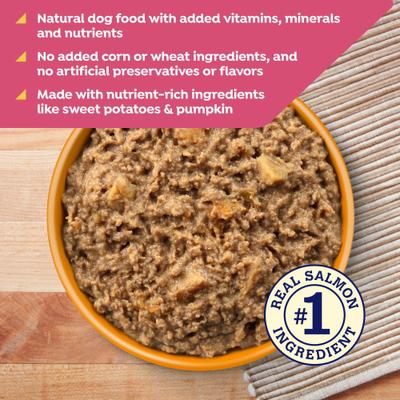 Grain-Free Salmon, Sweet Potato & Pumpkin Recipe Wet Dog Food, 13-oz can, 12 count