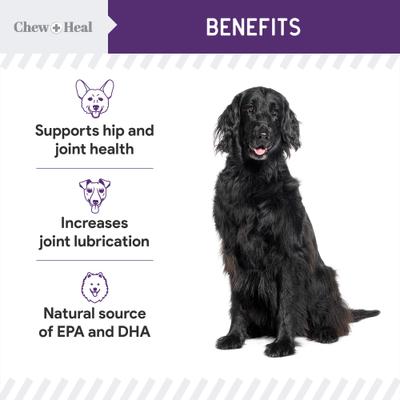 Mobility Wild Alaskan Salmon Limited Ingredient Soft Jerky Dog Treats, 12-oz bag