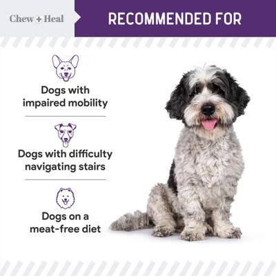 Mobility Wild Alaskan Salmon Limited Ingredient Soft Jerky Dog Treats, 12-oz bag