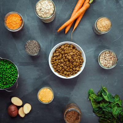 Kind Kibble Mini Bites Vegan Adult Dry Dog Food, 4.5-lb bag