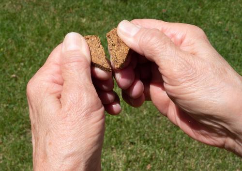 Zero/G Grain-Free Roasted Salmon Dog Treats, 12-oz bag