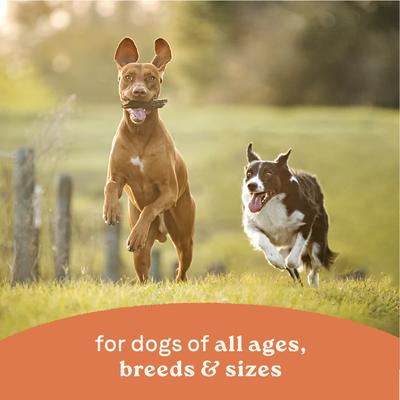 All Life Stages Chunky Stew Toppers Beef & Vegetable Recipe Wet Dog Food, 12.7-oz can, case of 6