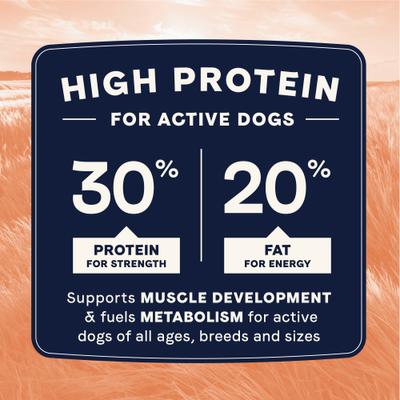All Life Stages Multi-Protein High Protein Recipe Dry Dog Food, 4-lb bag