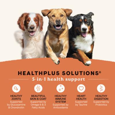 All Life Stages Multi-Protein High Protein Recipe Dry Dog Food, 4-lb bag