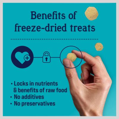 PuffPops Bacon & Cheese Recipe Freeze-Dried Dog Treats, 2.8-oz pouch