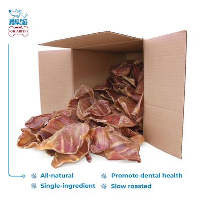 GigaBite - Masticables naturales y saludables para perros adultos de orejas de cerdo asadas enteras, 60 unidades