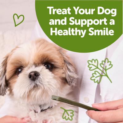 Freshzees X-Small Dental Dog Treats, 14.81-oz bag, 56 count