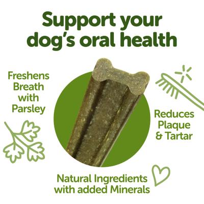 Freshzees Medium Dental Dog Treats, 14.81-oz bag, 14 count