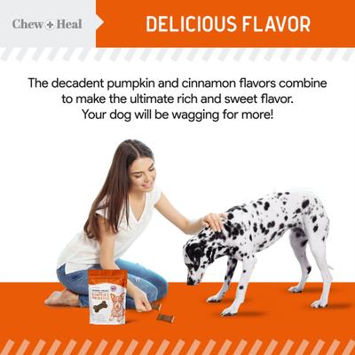 Pumpkin & Prebiotic Fiber Crunchy Biscuit Dog Treats, 5-oz bag