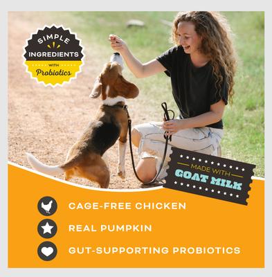 Pumpkin for My Pumpkin Chicken & Pumpkin with Goat Milk Flavored Crunchy Dog Treats, 2-oz bag