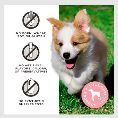 Pumpkin for My Pumpkin Chicken & Pumpkin with Goat Milk Flavored Crunchy Dog Treats, 2-oz bag