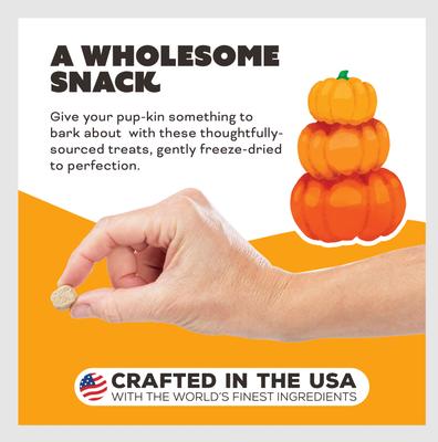 Pumpkin for My Pumpkin Chicken & Pumpkin with Goat Milk Flavored Crunchy Dog Treats, 2-oz bag