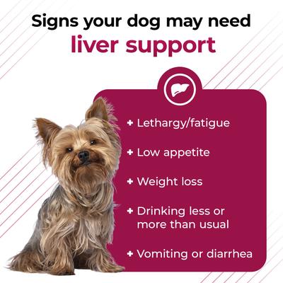 VETRI SAMe 90 Tablets Liver Supplement for Cats & Dogs, 30 count