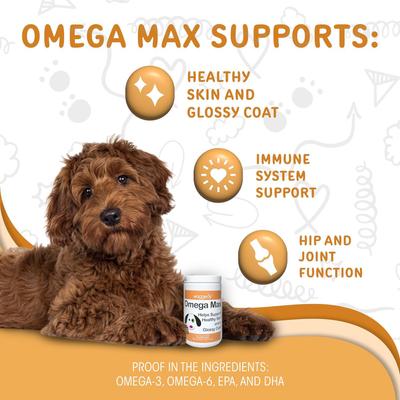 Omega Max Joint & Skin Health Chews Supplement for Dogs, 60 count