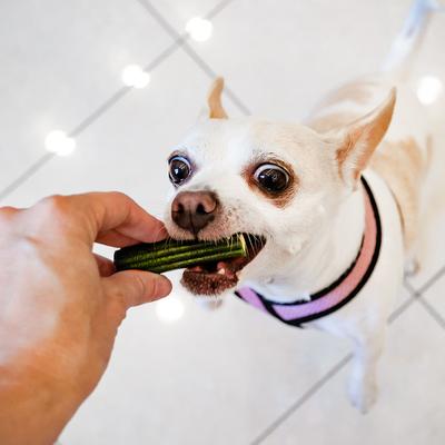 Brushless Toothpaste Small Dental Dog Treat, 35-oz box, bundle of 2