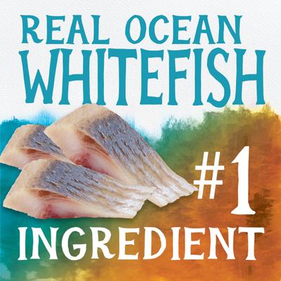 Free Spirit Deboned Ocean Whitefish & Egg Recipe Dry Cat Food, 3-lb bag