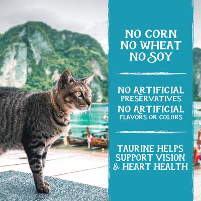 Free Spirit Deboned Ocean Whitefish & Egg Recipe Dry Cat Food, 3-lb bag