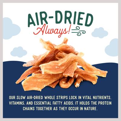 Turkey Breast Strips Dog Jerky Treats, 10-oz bag